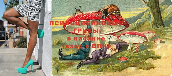spice Армянск