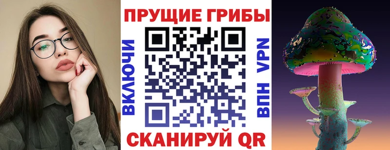 Псилоцибиновые грибы ЛСД  как найти   mega маркетплейс  Могоча 